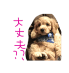 ティムのきもち（個別スタンプ：7）