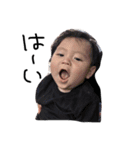 BabyHaru（個別スタンプ：8）