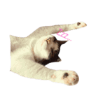 ゆき猫（個別スタンプ：4）