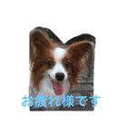 dogsdogs（個別スタンプ：7）