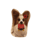 dogsdogs（個別スタンプ：8）