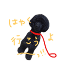 くろぷー（個別スタンプ：3）