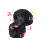 くろぷー（個別スタンプ：4）