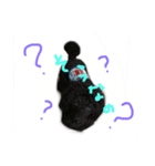 くろぷー（個別スタンプ：5）