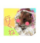 使える！にゃんこ！（個別スタンプ：15）