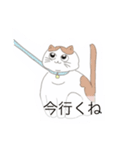 チンチラくんとおさる猫（個別スタンプ：4）