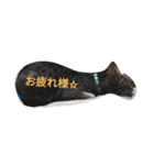 nyan1（個別スタンプ：6）