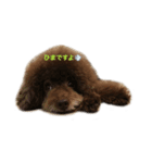 ごまぐみだらけ（個別スタンプ：6）