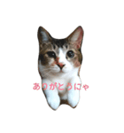 She is OMAME！！（個別スタンプ：3）