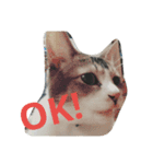 She is OMAME！！（個別スタンプ：5）