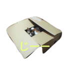 She is OMAME！！（個別スタンプ：8）