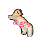 えるこゆ 2（個別スタンプ：2）