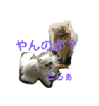 えるこゆ 2（個別スタンプ：6）