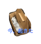 えるこゆ 2（個別スタンプ：14）