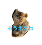 えるこゆ 2（個別スタンプ：16）
