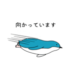 ぺんぎんと海の仲間たち（個別スタンプ：15）