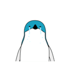 ぺんぎんと海の仲間たち（個別スタンプ：23）