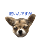 ちいすうあんず（個別スタンプ：3）