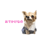 ちいすうあんず（個別スタンプ：9）
