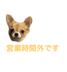 ちいすうあんず（個別スタンプ：18）
