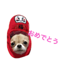 ちいすうあんず（個別スタンプ：20）