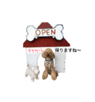 トイプードル マイケルの日常 2（個別スタンプ：14）