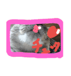 ネコと君（個別スタンプ：3）