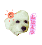 癒しのふうにゃん（個別スタンプ：1）