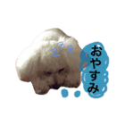 癒しのふうにゃん（個別スタンプ：2）