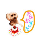 癒しのふうにゃん（個別スタンプ：3）