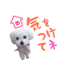癒しのふうにゃん（個別スタンプ：4）