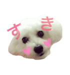 癒しのふうにゃん（個別スタンプ：7）