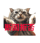 ぽけしんです（個別スタンプ：5）