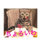 ぽけしんです（個別スタンプ：14）