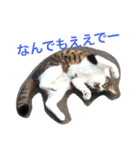 ぽけしんです（個別スタンプ：15）