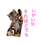 ぽけしんです（個別スタンプ：18）