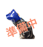 ぽけしんです（個別スタンプ：21）
