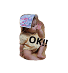 ひまり 100% No.2（個別スタンプ：4）