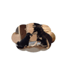 秋嵐のスタンプ（個別スタンプ：7）