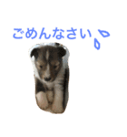Yoroshiku！（個別スタンプ：5）