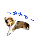 Yoroshiku！（個別スタンプ：8）