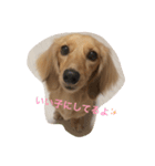 じゃむきぴのこ vol.1（個別スタンプ：2）