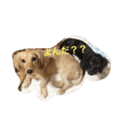 じゃむきぴのこ vol.1（個別スタンプ：3）