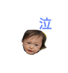 毎日ぴろろんぴろろん（個別スタンプ：1）