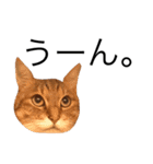miaemon2（個別スタンプ：10）