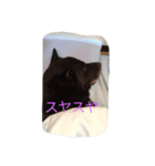 ジョンのスタンプ（個別スタンプ：3）