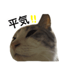 みすの日常。（個別スタンプ：16）