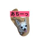 とろろのまったりlife（個別スタンプ：6）