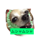 とろろのまったりlife（個別スタンプ：7）