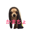 とろろのまったりlife（個別スタンプ：8）